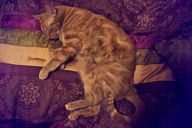 God of the Afterlife by jesidangerously