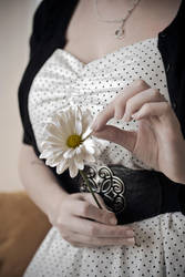 loves me, loves me not by jesidangerously