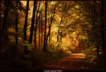 Lonely Autumn Walk by JoInnovate