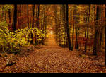 Autumnal road by JoInnovate