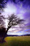 Haunted by JoInnovate