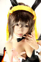 Haruhi Suzumiya cosplay by twndomn
