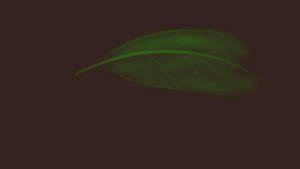 Leaf by EeveeSweeto on DeviantArt