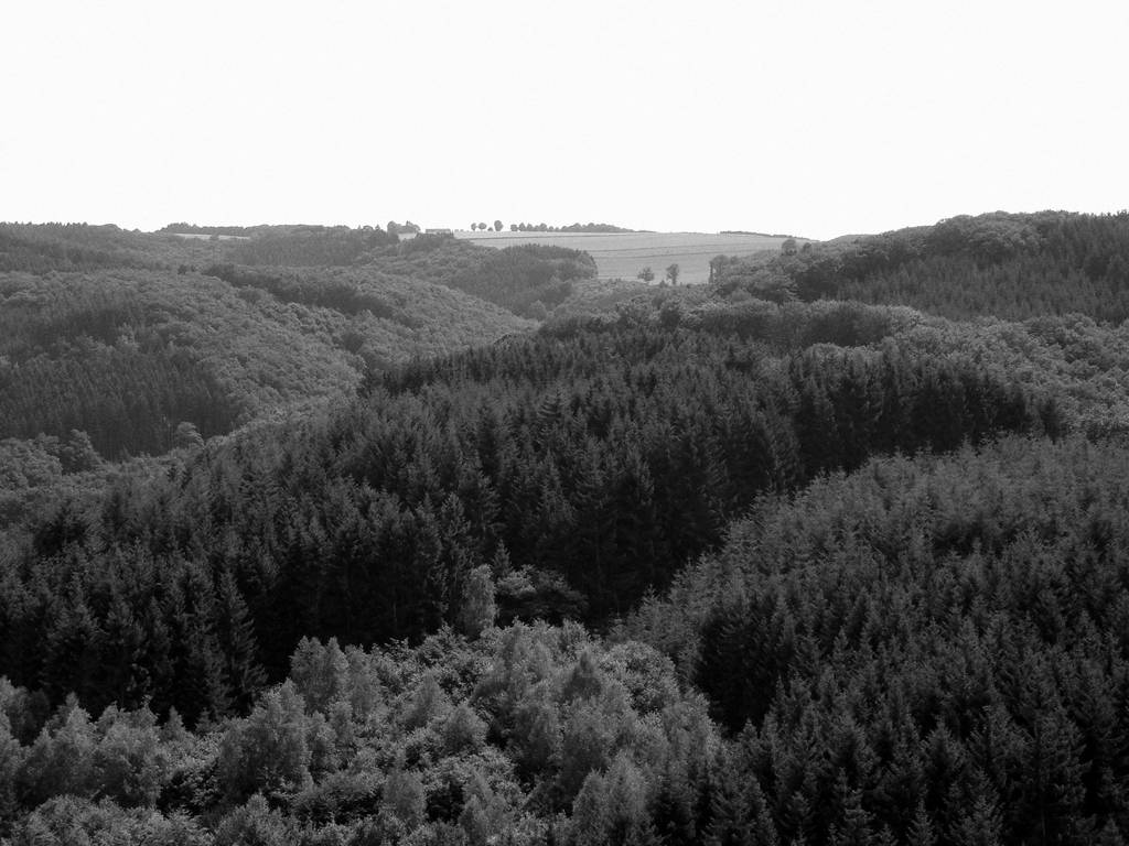 Luxembourgish Countryside 3 by maradong