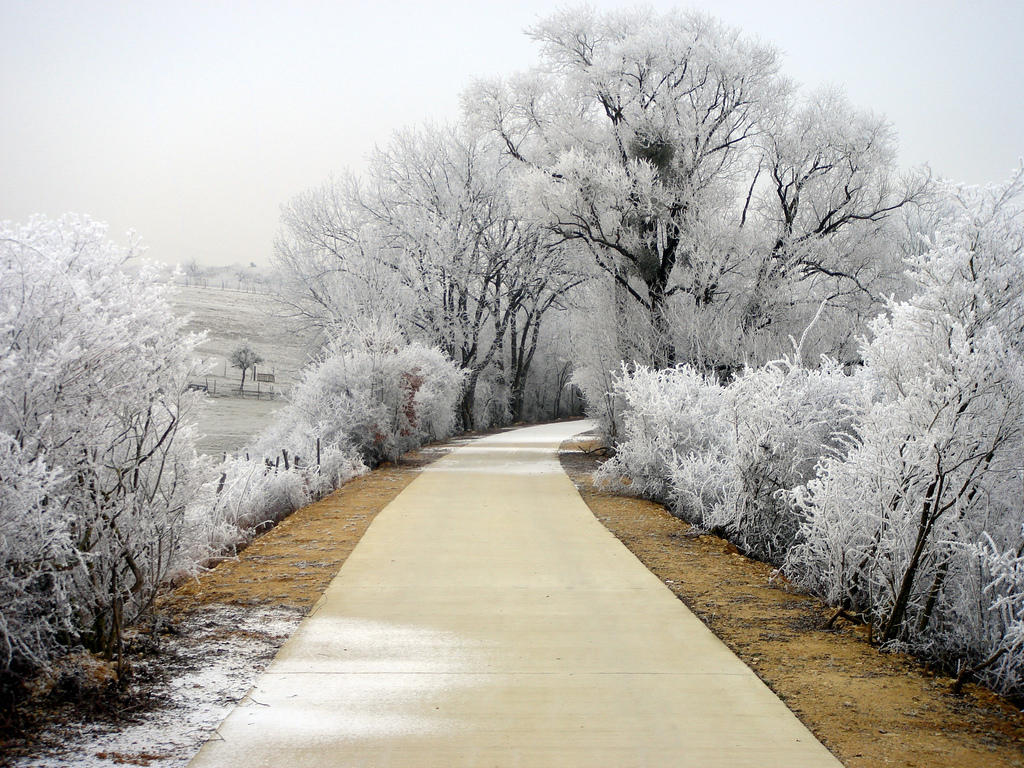 Radfernweg by maradong