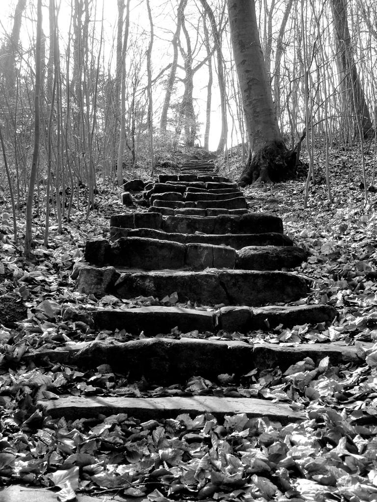 Stairway to heaven by maradong