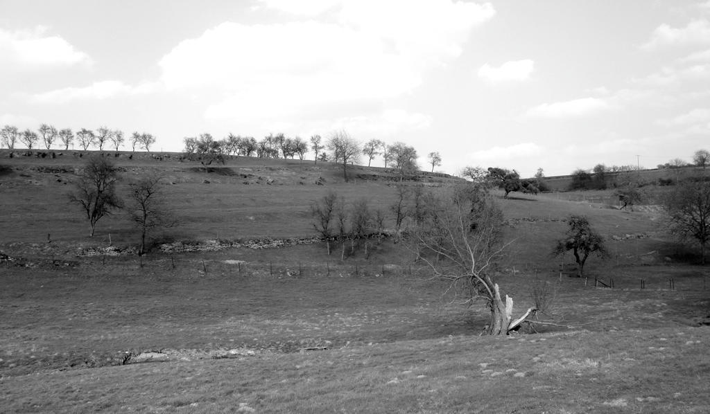 Luxembourgish Countryside by maradong