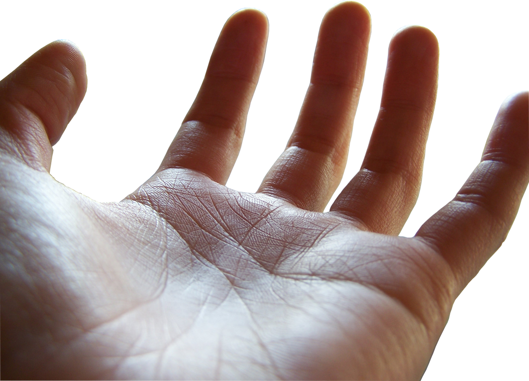 open palm png (female hand) by megakorean on DeviantArt