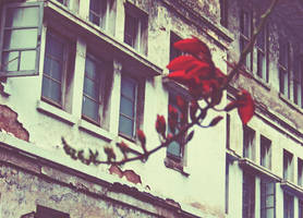 Scarlet by mijnnaamis