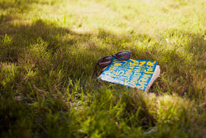 everything is illuminated by aimeelikestotakepics