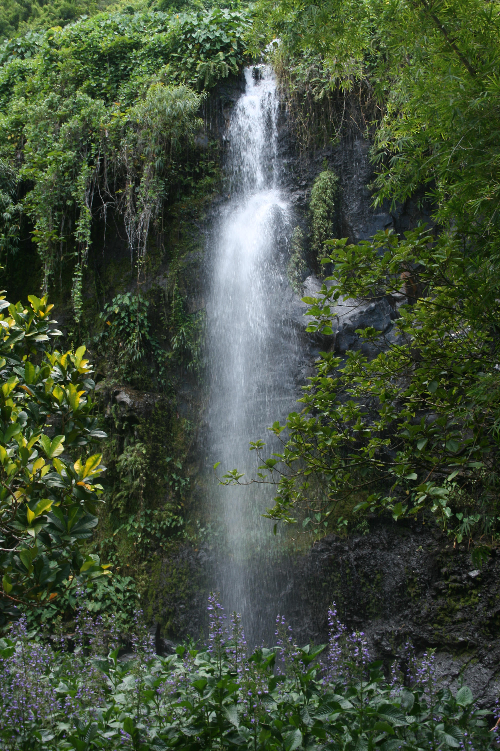 Waterfall 4 - Unrestricted by Cat-in-the-Stock