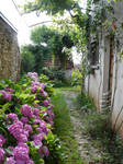 Garden 15 by Cat-in-the-Stock