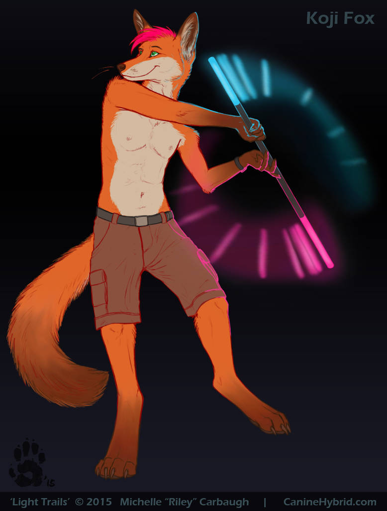 Light Trails by CanineHybrid