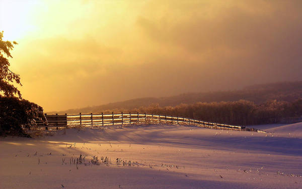 winter wallpaper by J4ck3R