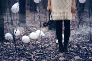 maerchenwald I by janevoit