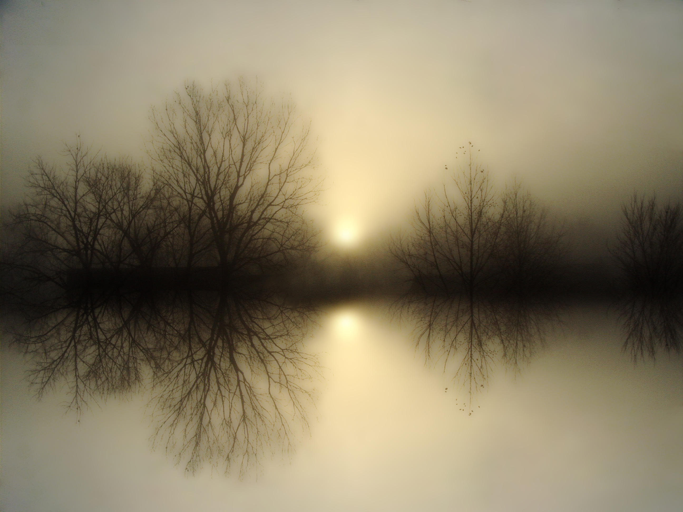Fog Lake II by BBs-Brushes