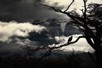 Adorn .. the Sky by alexandre-deschaumes