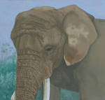 Elephant-Toronto Zoo by GuitarWars