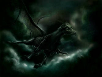 Skeleton Horse--Thestral by BSC90