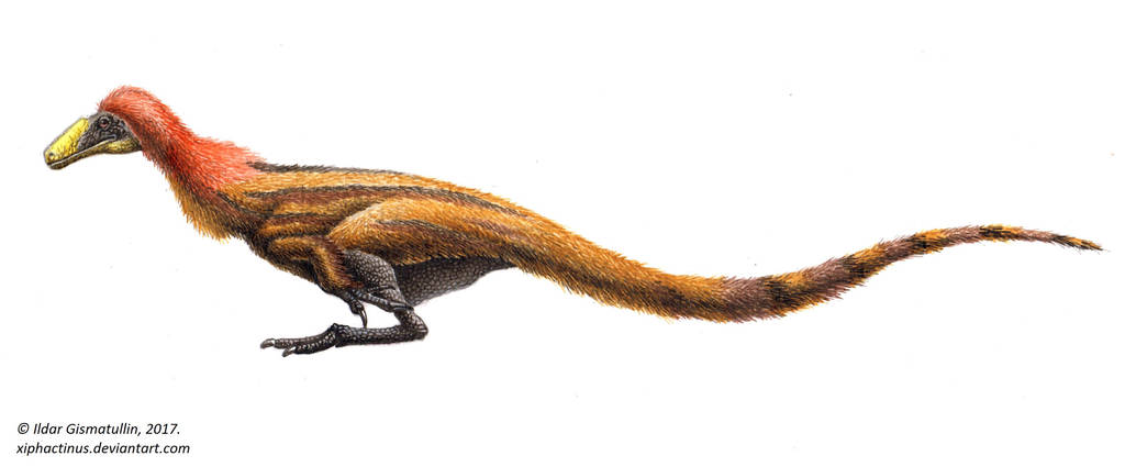Coelurus fragilis by Xiphactinus on DeviantArt