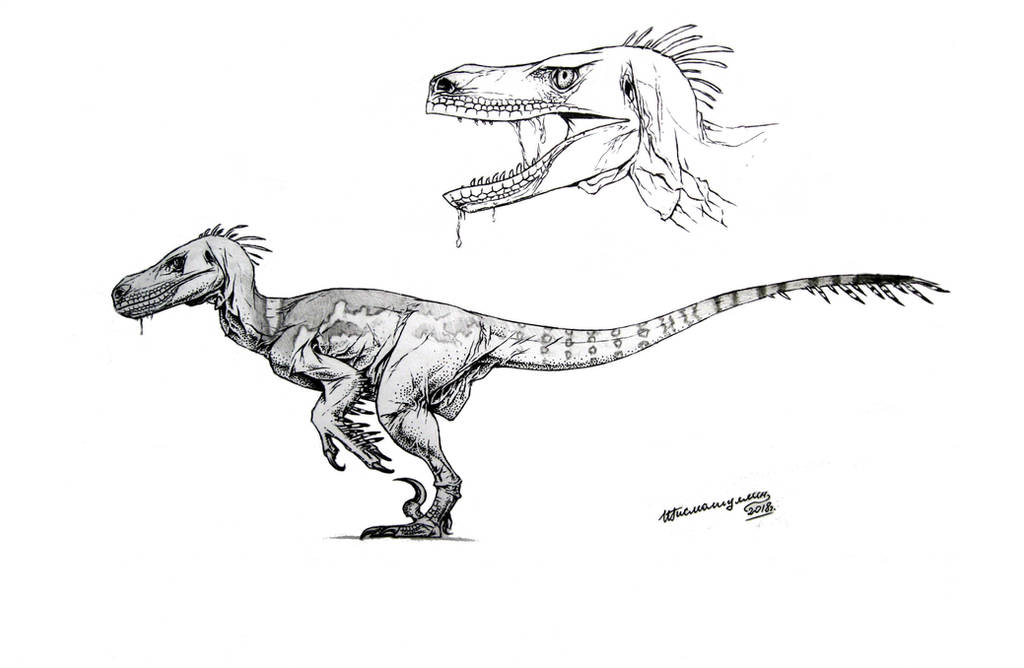 JP Velociraptor - my version by Xiphactinus on DeviantArt