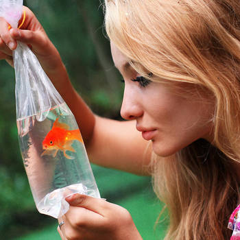 Gold Digger II by zenibyfajnie