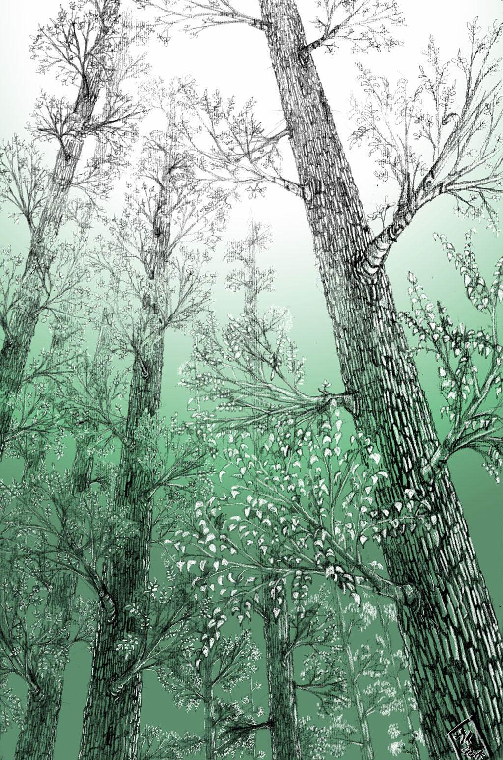 Ancient Secular forest by saimon69