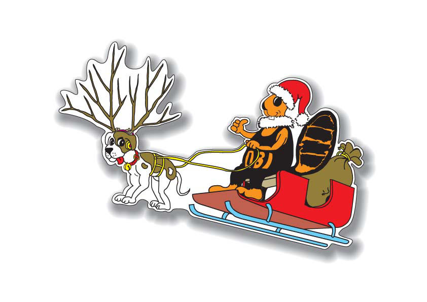 Christmas Obi 2 - the sled by saimon69