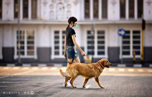 s t r o l l i n g by widjita