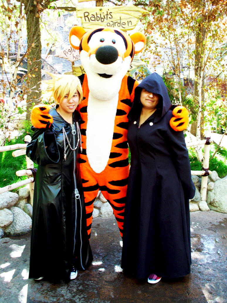 Petition The Walt Disney Company Bring Kingdom Hearts In