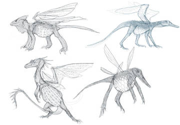 CotSF: Dragonette Concepts by M0AI