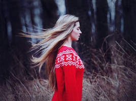 cold wind by baravavrova