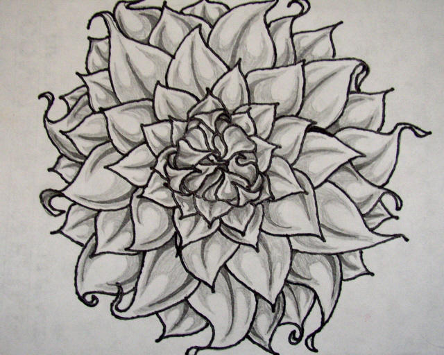 dahlia tattooconflicted on deviantart