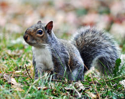 Hey wait up by masscreation