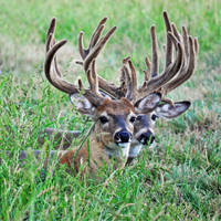 Taking a break by masscreation