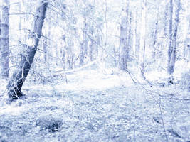 Snowy dreams forest stock I by SilaynneStock
