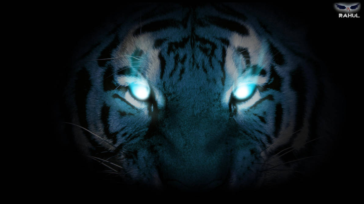 Mystical Tiger Wallpaper Www Miifotos Com