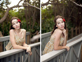 Seagrape Boardwalk by MeganCoffey