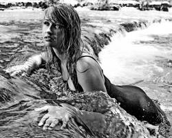 Sharp Contrast by KittyParrish