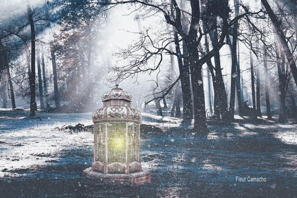 Light in the Cold by FleurCamacho