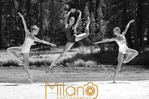 In Flight by milanophoto