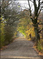 Autumn Road by notvalid