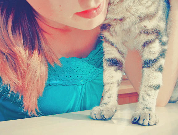 Bez ladu i skladu. by Laplum