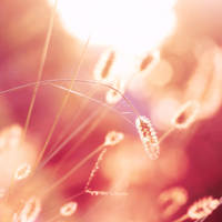 Beautiful mind by incredi