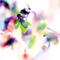 Time to wake up. by incredi