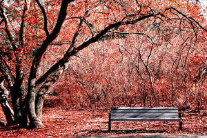 A break from it all. by incredi