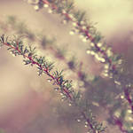 As time goes by. by incredi