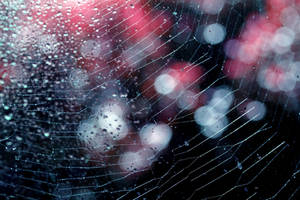 Midnight expressions. by incredi