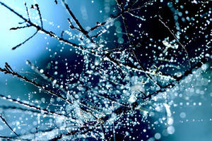 Blue Rhapsody by incredi