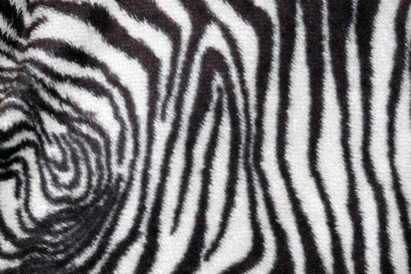 Zebra Fur_Texture by DXstock